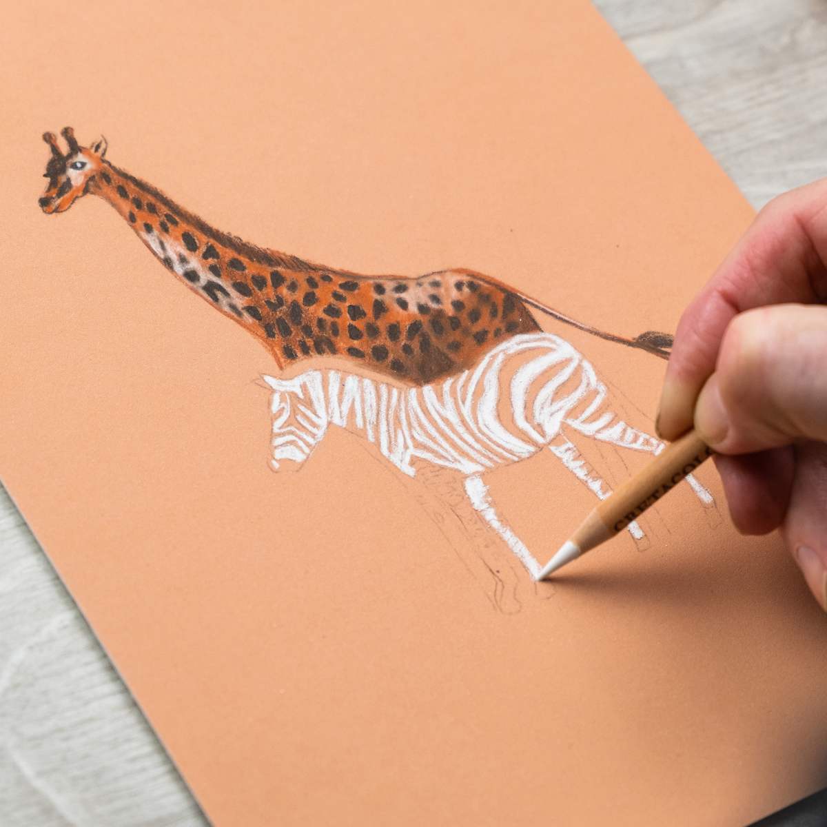 Artist Pencil Sketching Safari 7-Piece Set