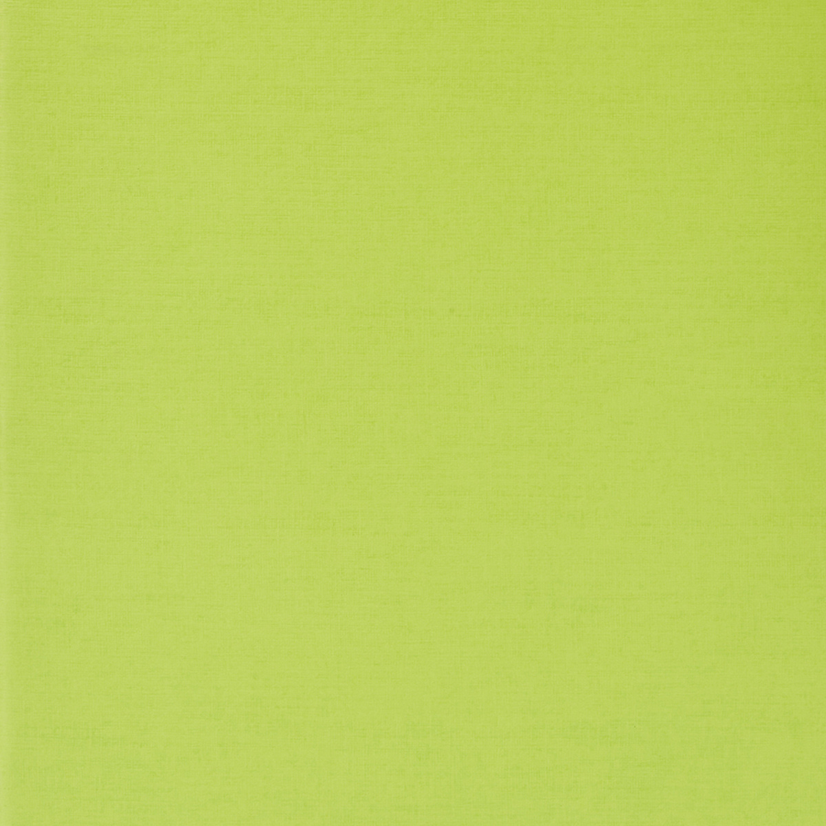 Fabriano Ecoqua Original Staple-Bound Notebook, 5.8 in x 8.3 in, A5, Graph, 40 Sheets, Lime