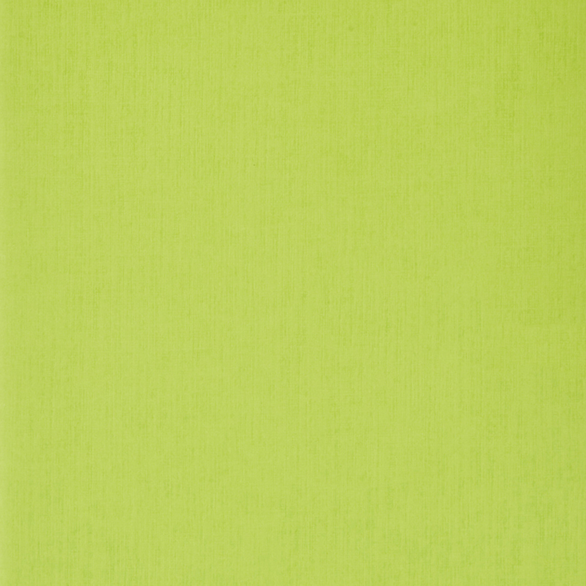 Fabriano EcoQua Original Staple-Bound Notebook, 8.3 in x 11.7 in, A4, Dotted, 40 Sheets, Lime