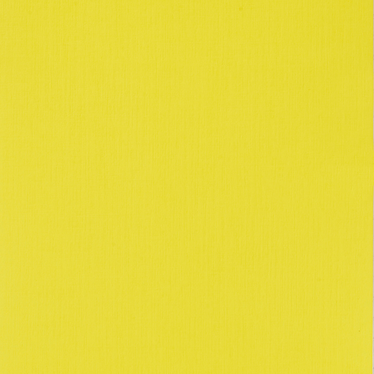 Fabriano EcoQua Original Staple-Bound Notebook, 8.3 in x 11.7 in, A4, Dotted, 40 Sheets, Yellow