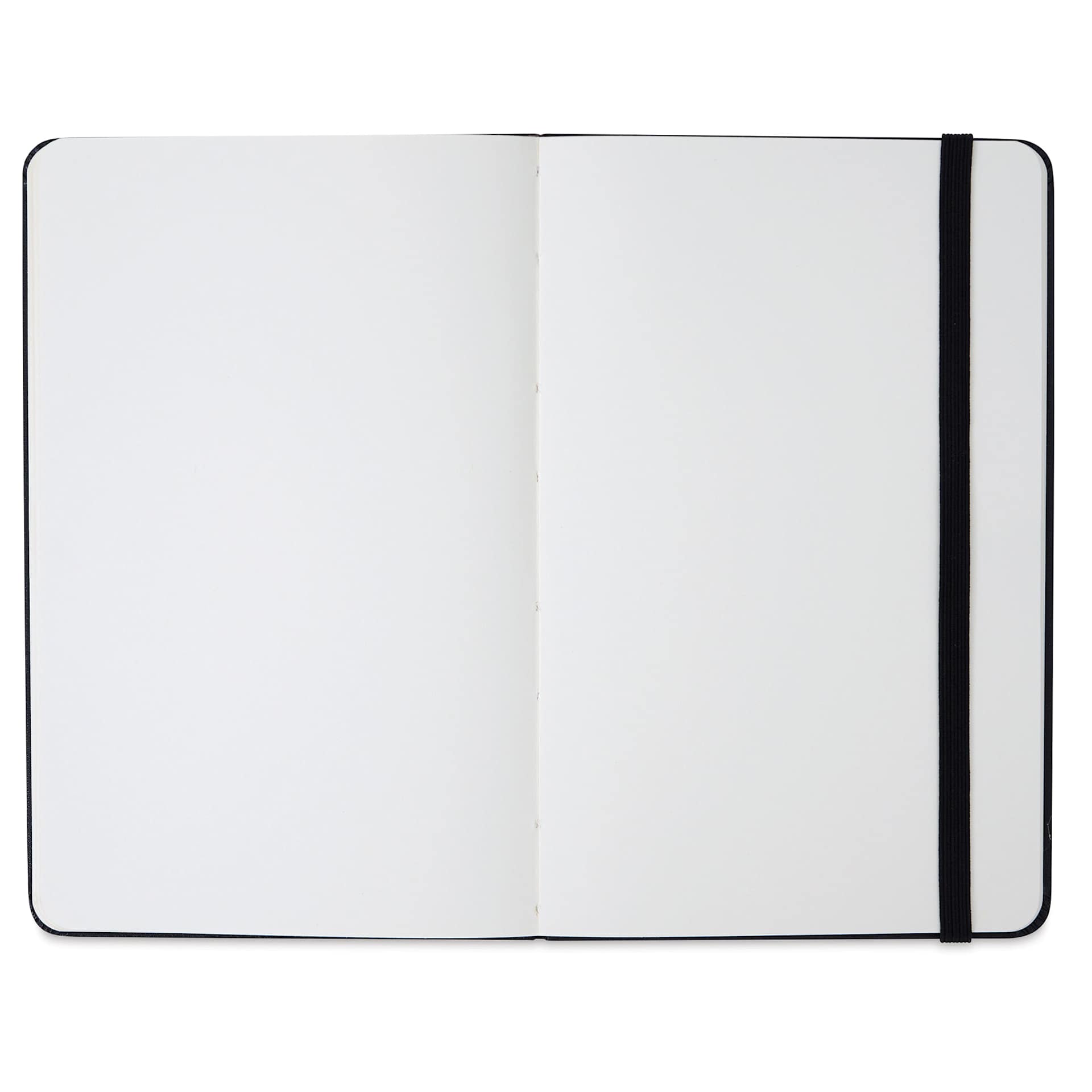 Moleskine Art Collection Sketchbook - Black, Medium (open to show paper)