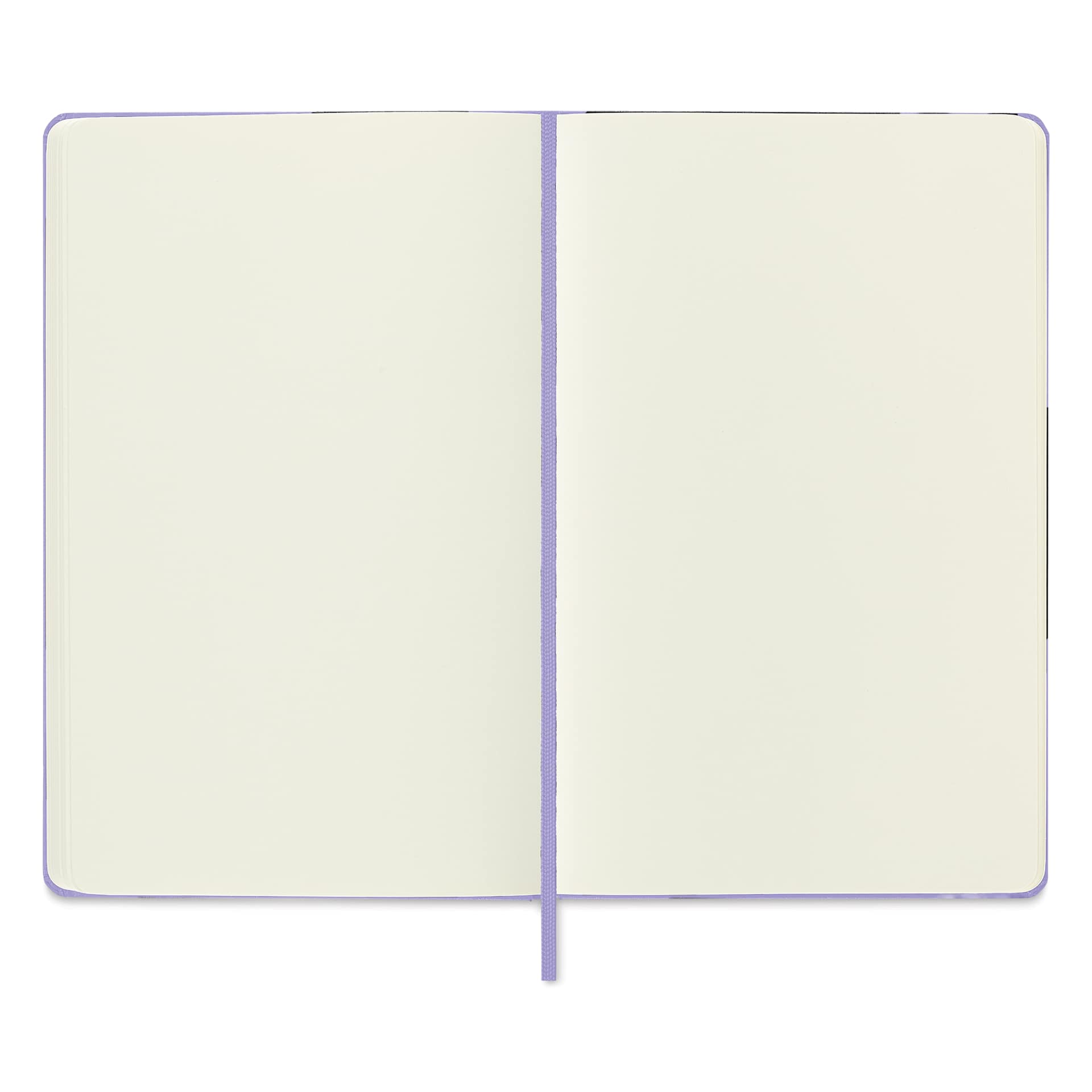 Moleskine Art Collection Sketchbook - Wisteria, 5" x 8-1/4", open