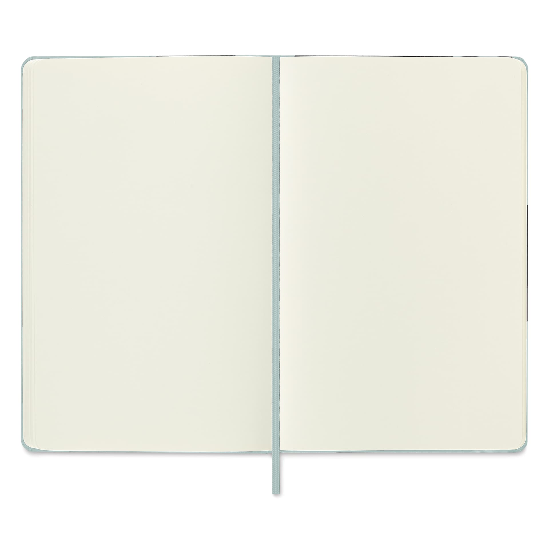 Moleskine Art Collection Sketchbook - Sage, 5" x 8-1/4", open