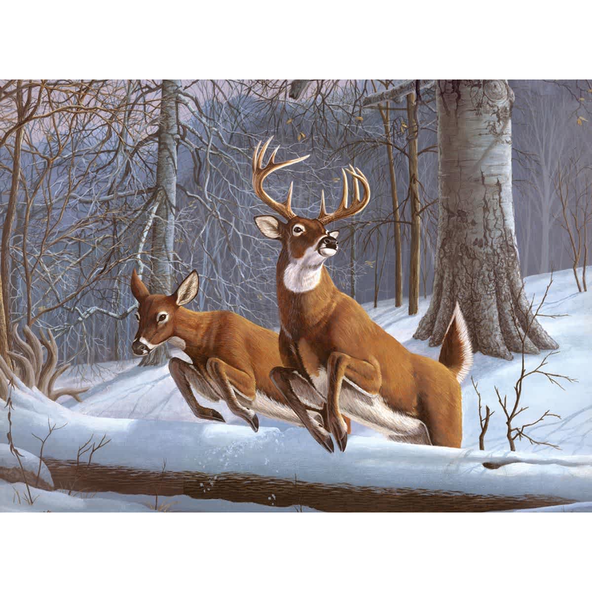 Adult Painting by Numbers Kits White Tails, 11 3/8" x 15 3/8" - Peggable