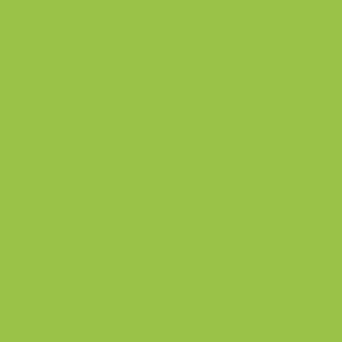 Pen 68 brush Light Green