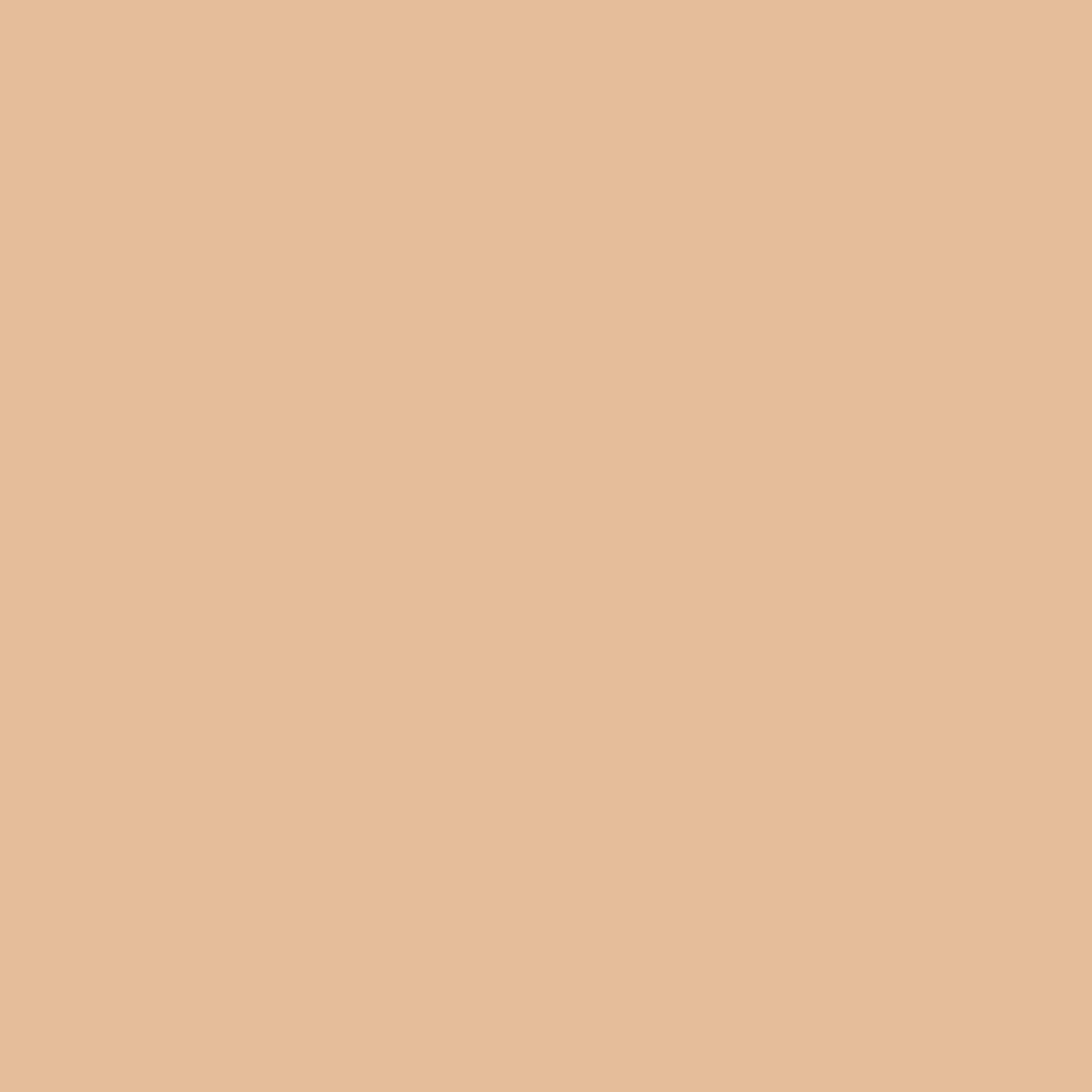 Sign Pen with Brush Tip Pale Orange