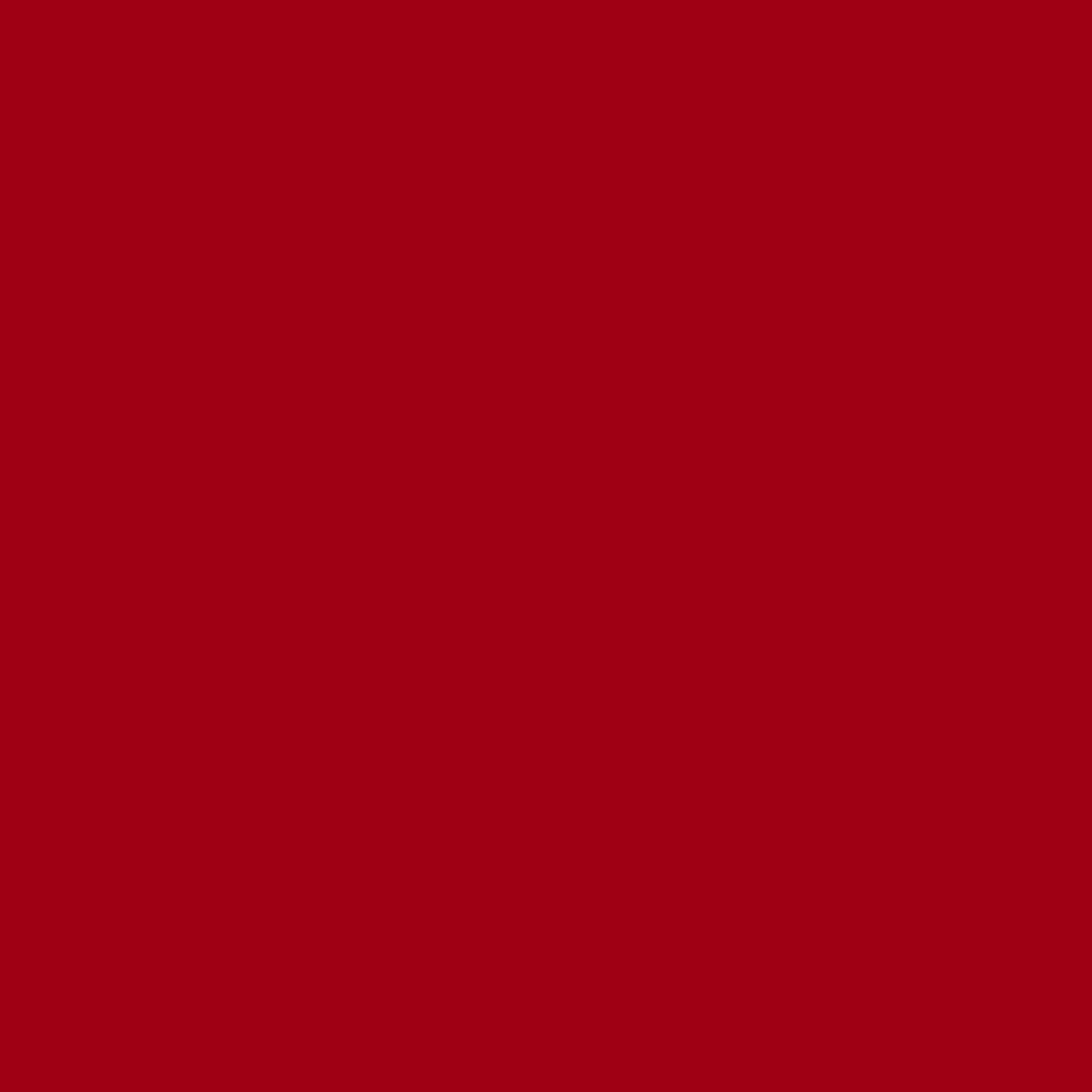 Pentouch Marker Fine - Red