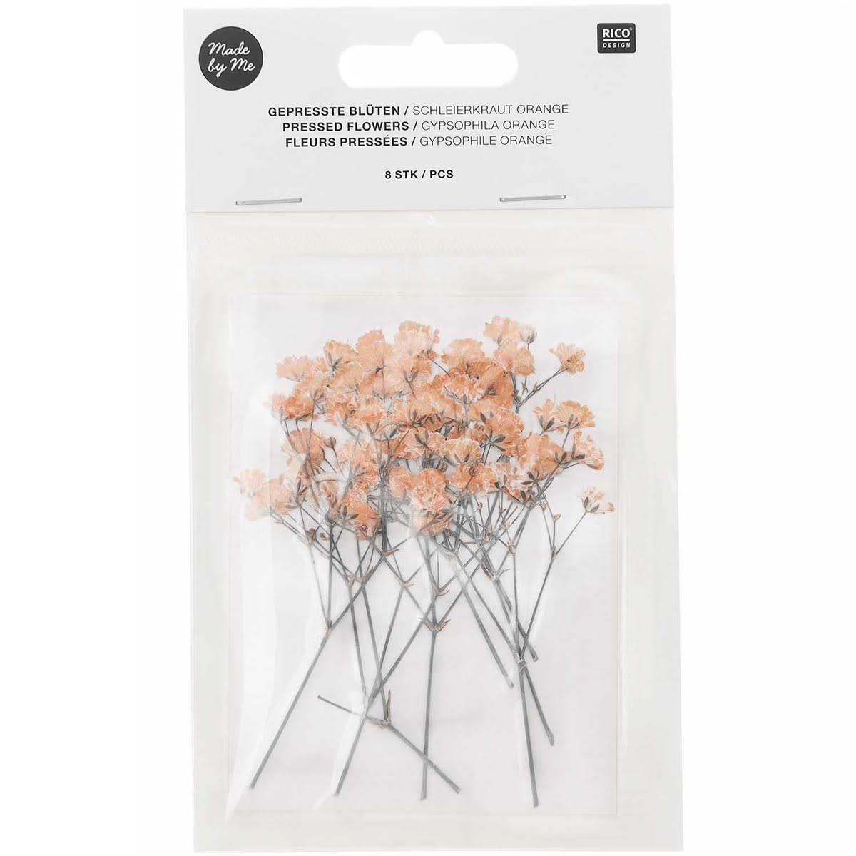Rico Design Pressed Flowers - Gypsophilia - Peach Pkg of 8