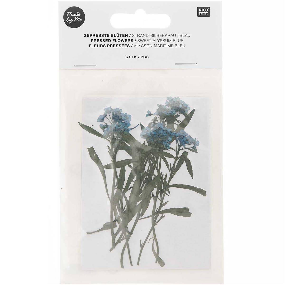 Pressed Flower & Plant Sets Sweet Alyssum - Blue, 6/Pkg.