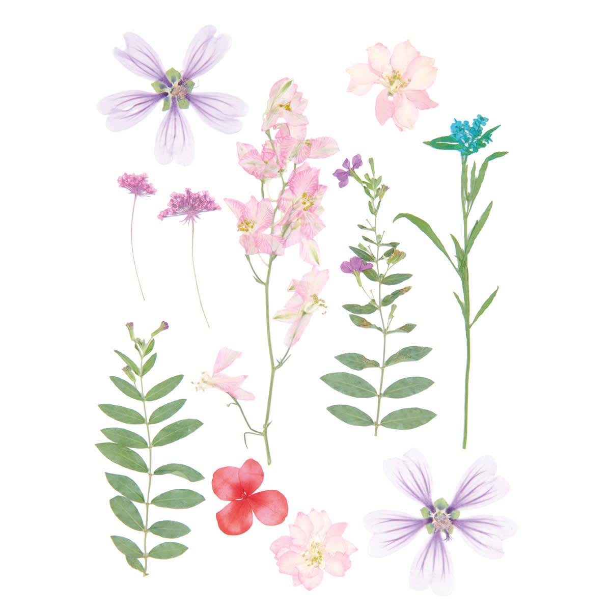 Pressed Flower & Plant Sets Pink Violet Mix - 11 Pcs./Pkg.
