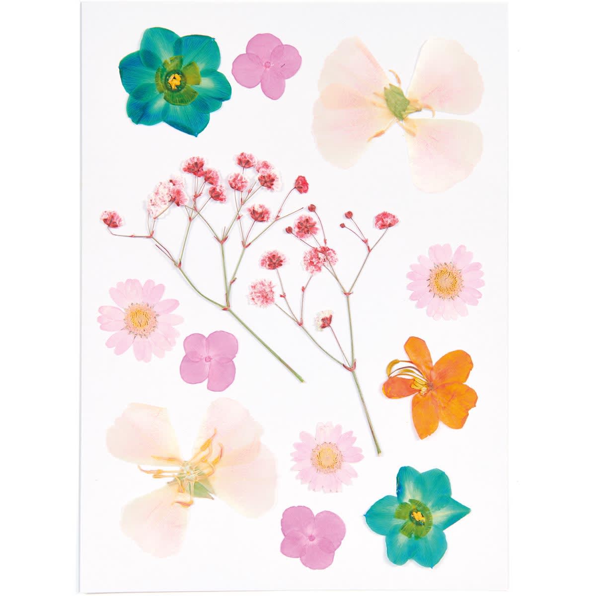 Pressed Flower & Plant Sets Orange Turquoise Mix - 13 Pcs./Pkg.