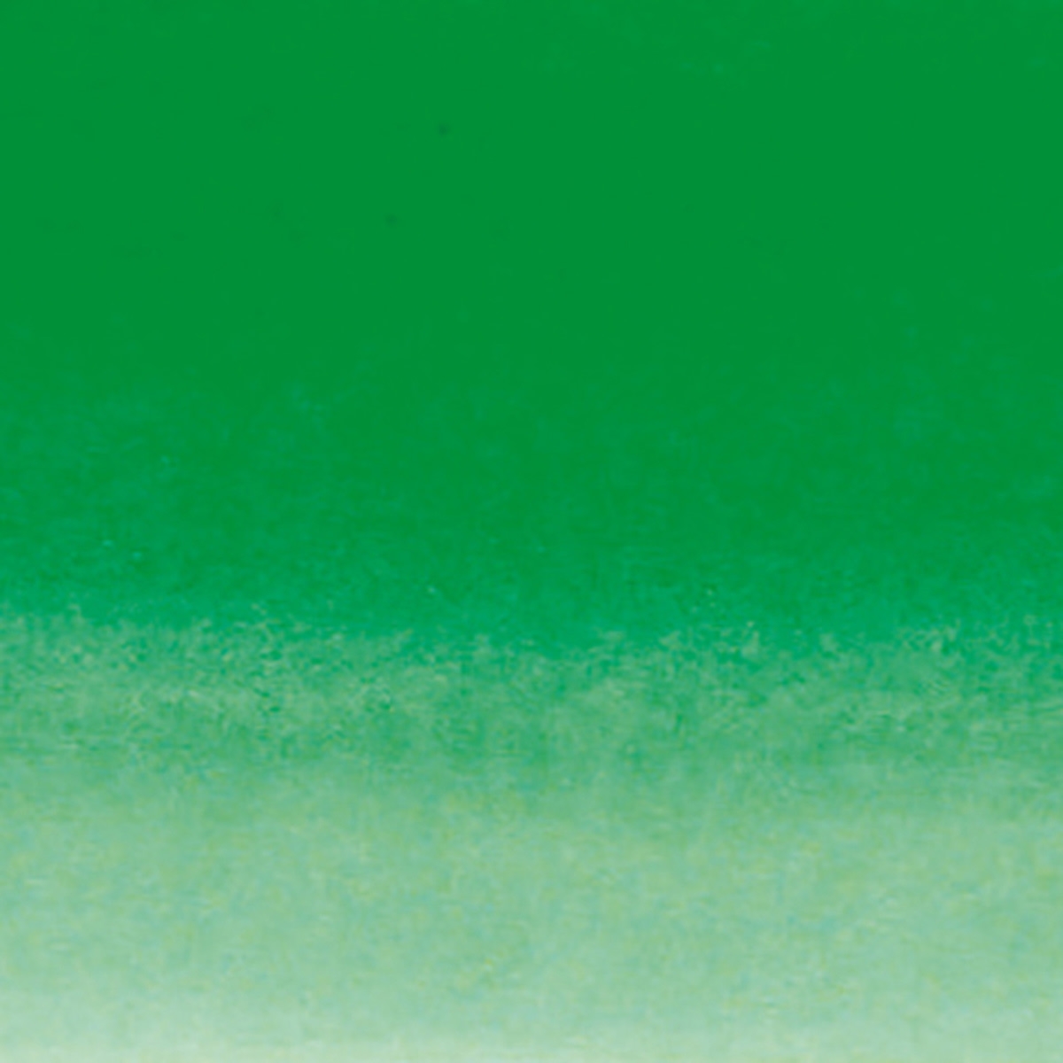 Drawing Inks Spring Green
