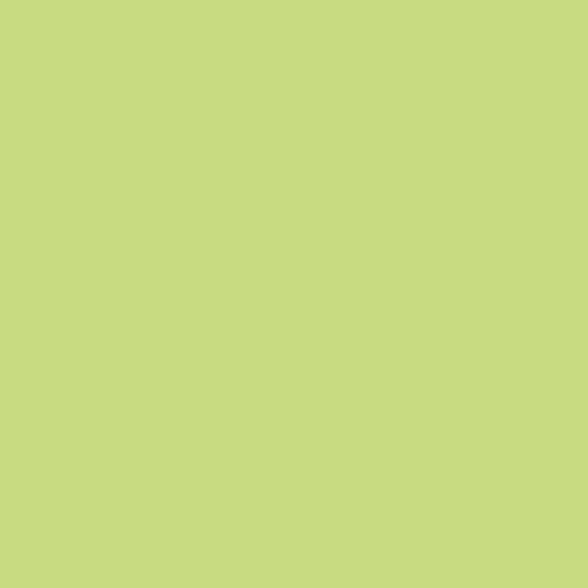 pointMax Pen Lime Green