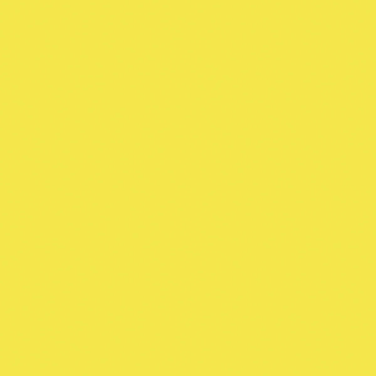 pointMax Pen Lemon Yellow