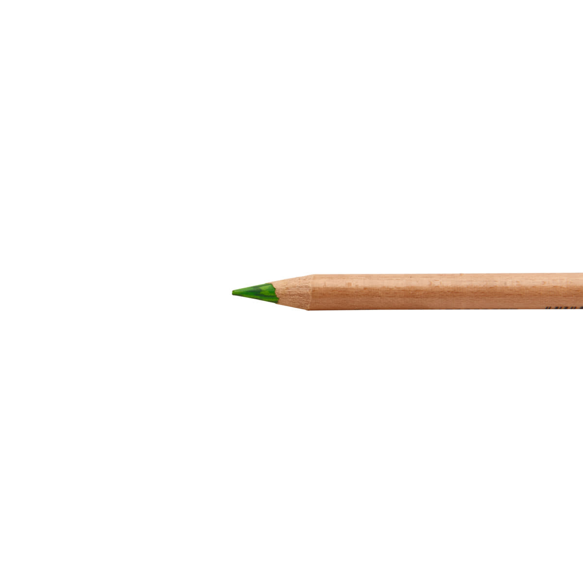 Tritone Colored Pencils Forest