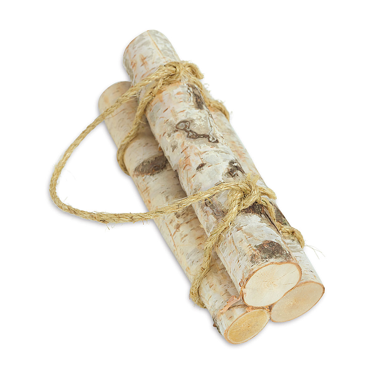 Winter Woods Birch Wood - Set of three 1 foot long logs
