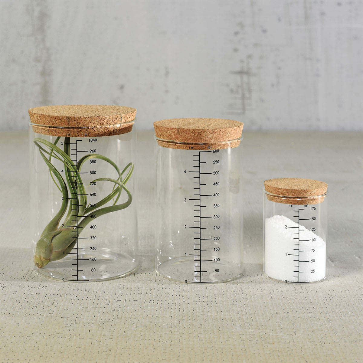 HomArt Milliliter Glass Canister