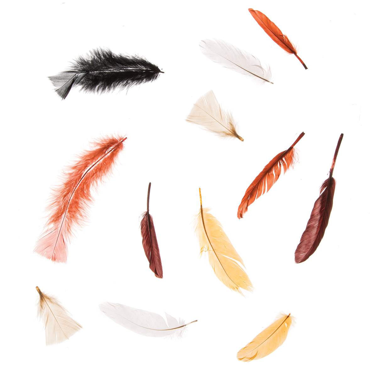 Darice Value Pack Feathers