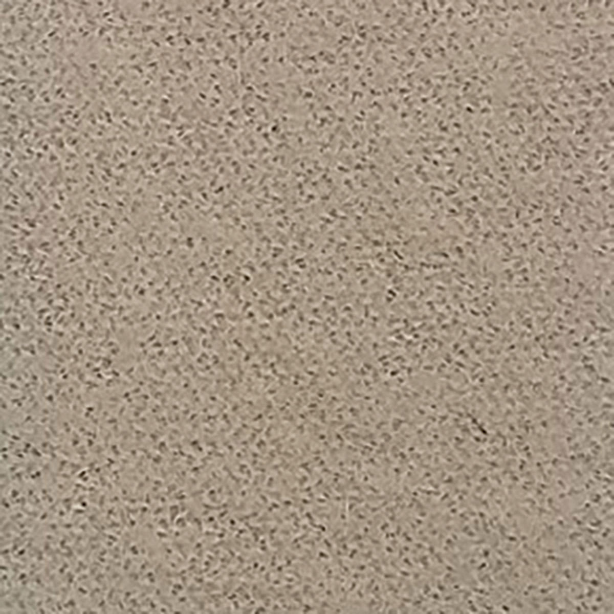 Flourish VelPanel Display Walls - Eggshell