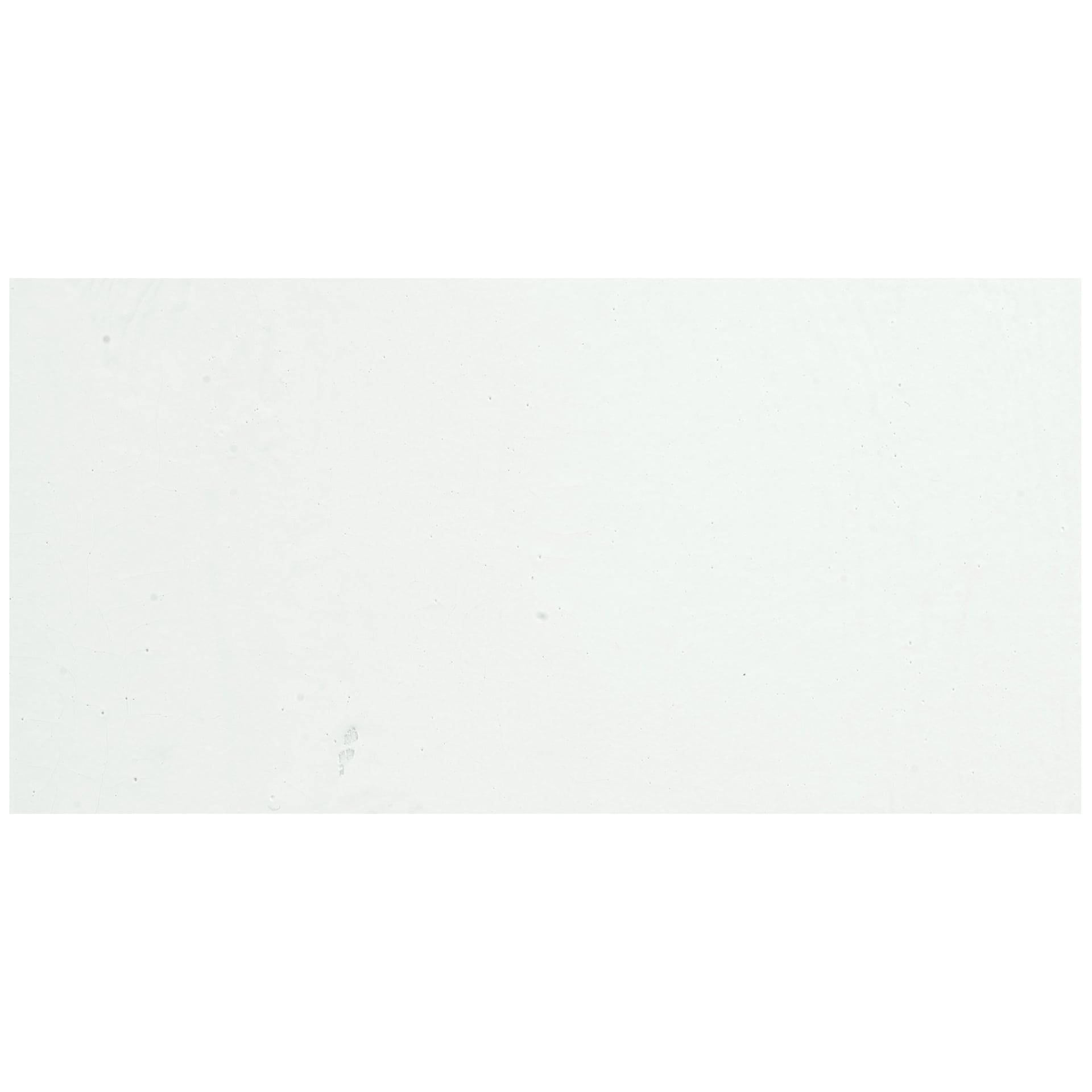 Nicker Poster Colour Paint - White swatch Nicker Poster Colour Paint - White swatch