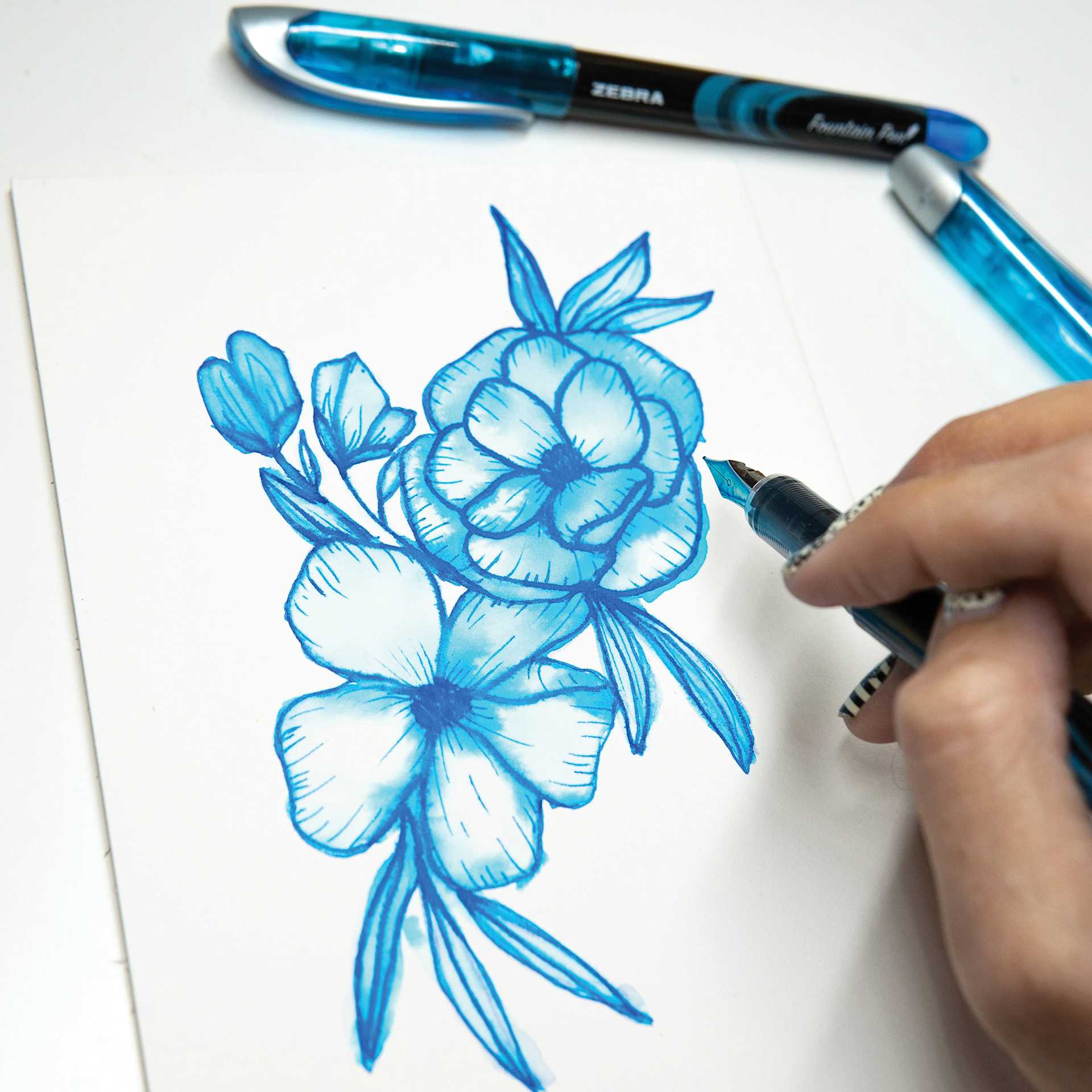 Zebra Fountain Pens, drawing shown made with Blue Fountain Pen in hand