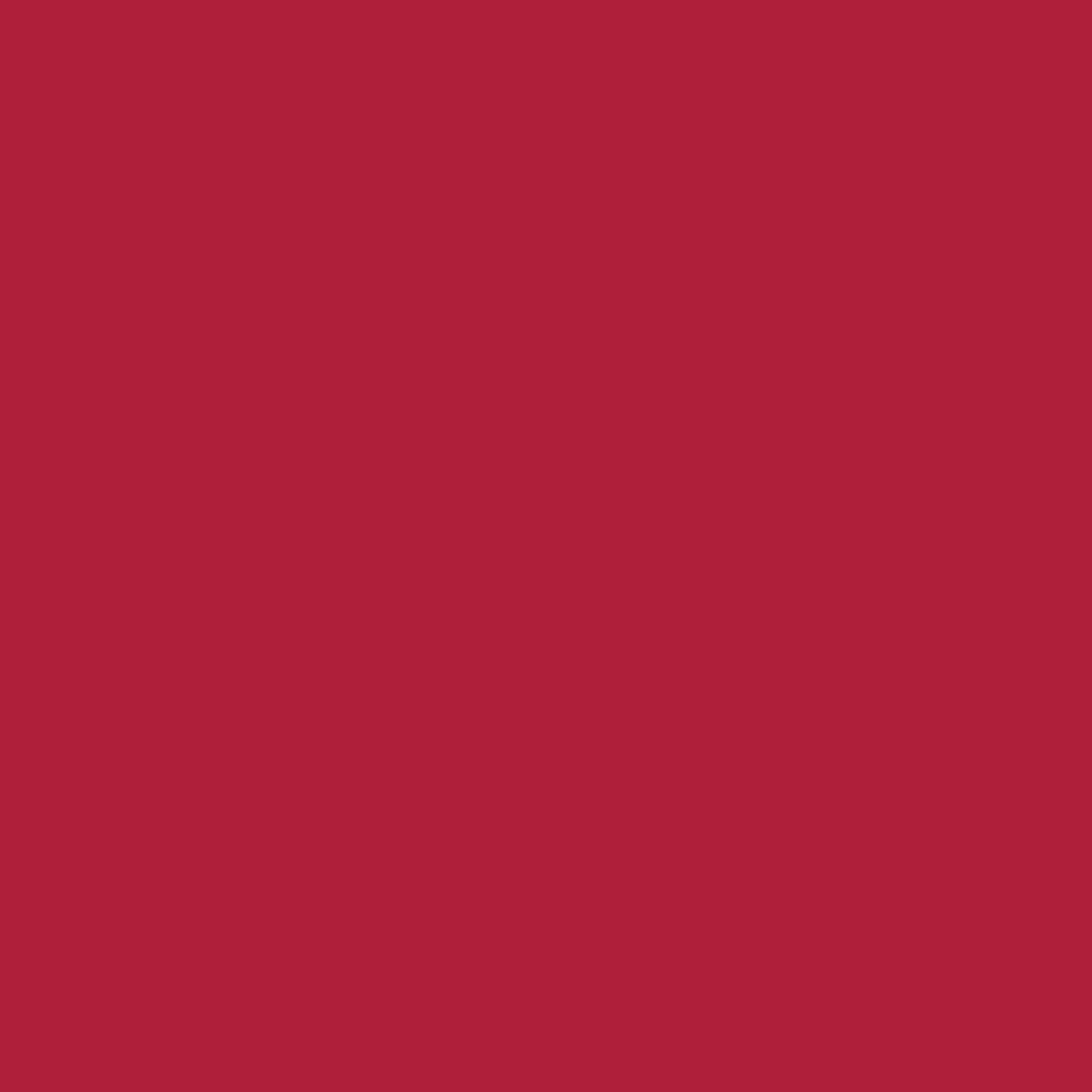 Camelot Cotton Flannel Solids - Lipstick, 42" x 20 yds