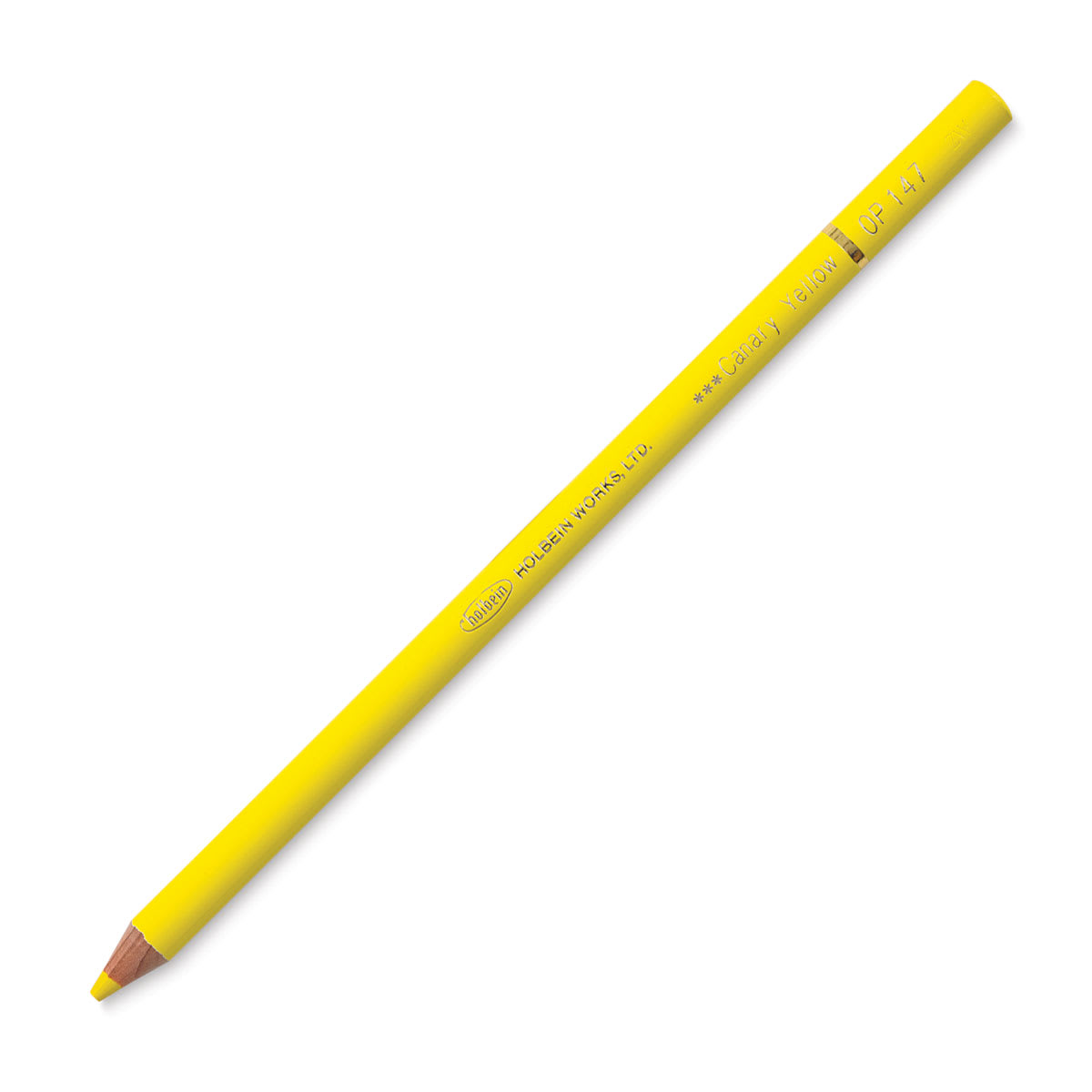 Holbein Artists' Colored Pencil - Canary Yellow, OP147