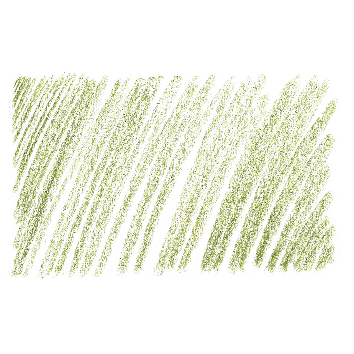 Holbein Artists' Colored Pencil - Olive Green, OP189 swatch