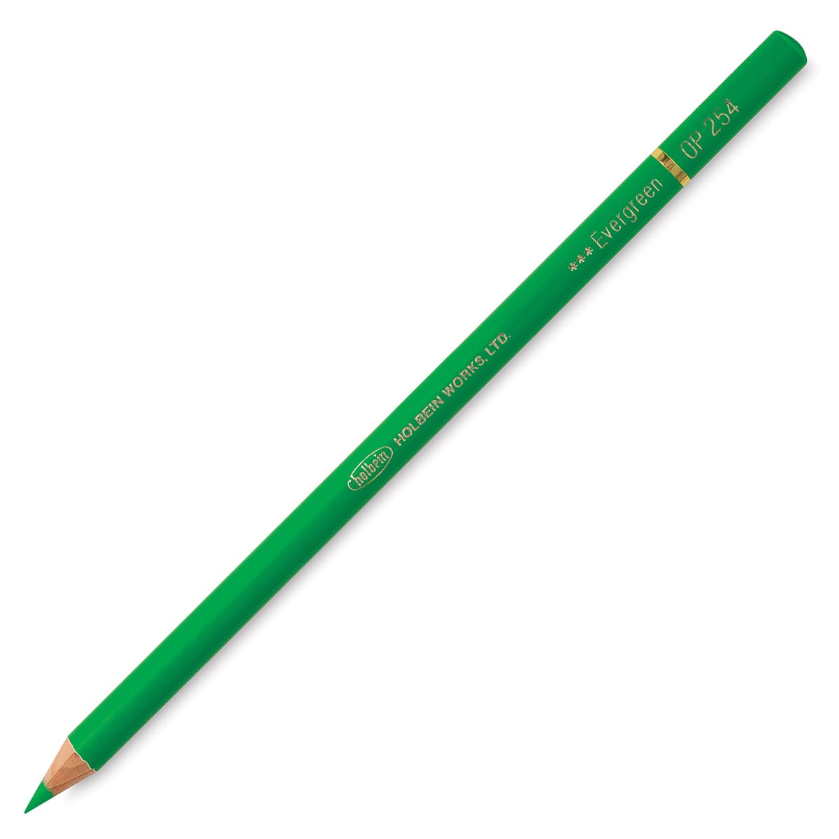 Holbein Artists' Colored Pencil - Evergreen, OP254