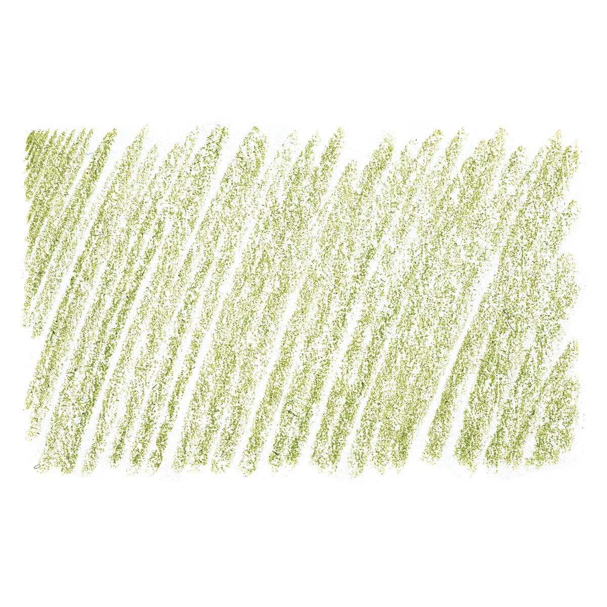 Holbein Artists' Colored Pencil - Moss Green, OP290 swatch