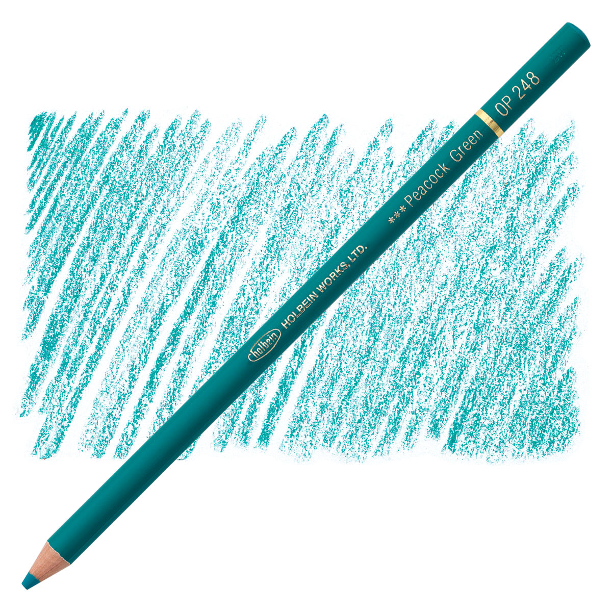 Holbein Artists' Colored Pencil - Peacock Green, OP248 pencil and swatch