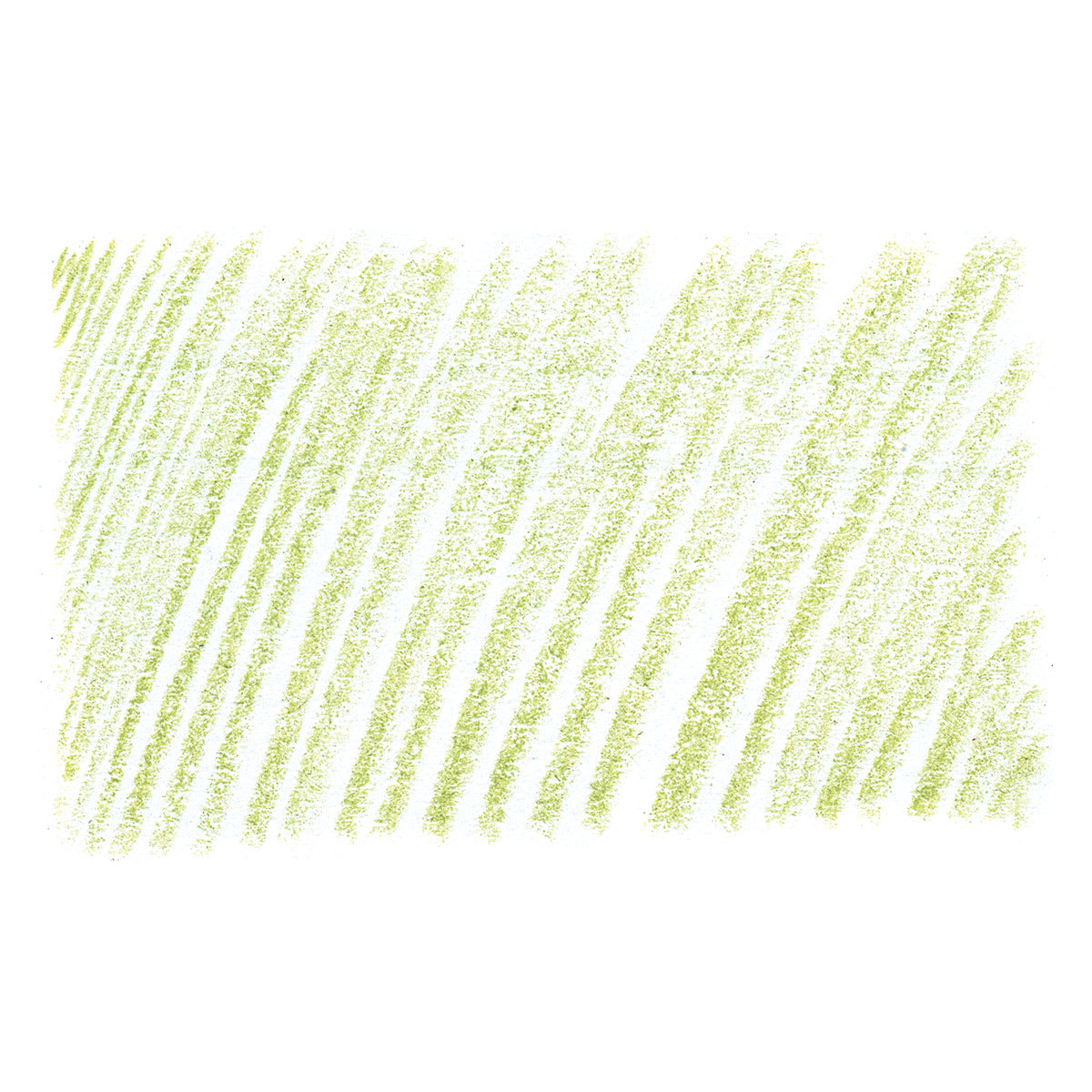 Holbein Artists' Colored Pencil - Willow Green, OP270 swatch