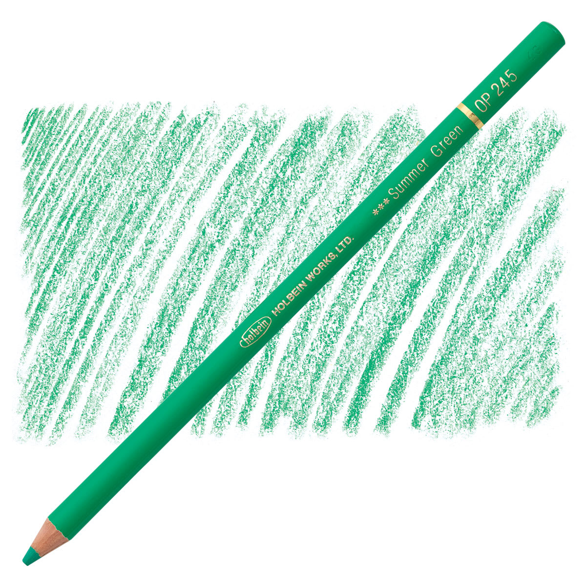 Holbein Artists' Colored Pencil - Summer Green, OP245 pencil and swatch