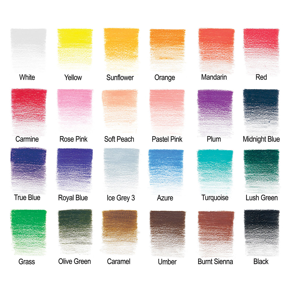 Winsor & Newton Studio Collection Colored Pencils - Set of 24 (example of included colors)