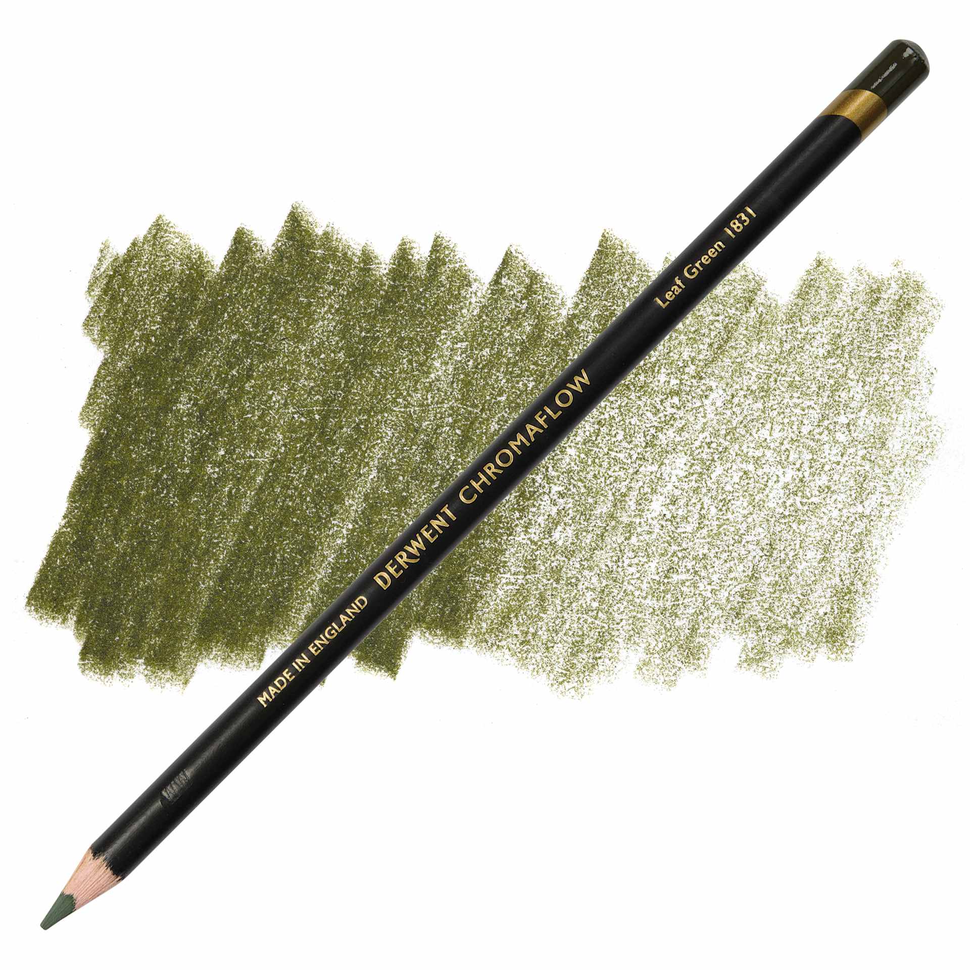 Derwent Chromaflow Colored Pencil - Leaf Green, swatch and pencil
