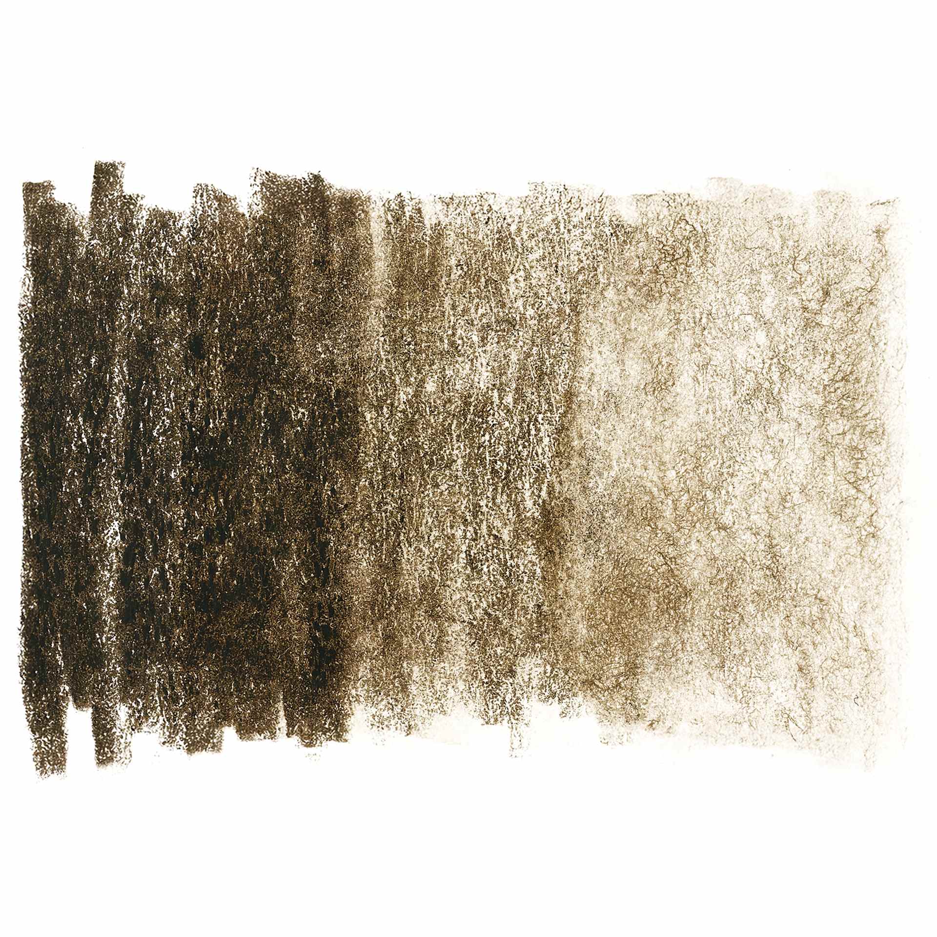 Derwent Chromaqua Watercolor Pencil - Oak swatch
