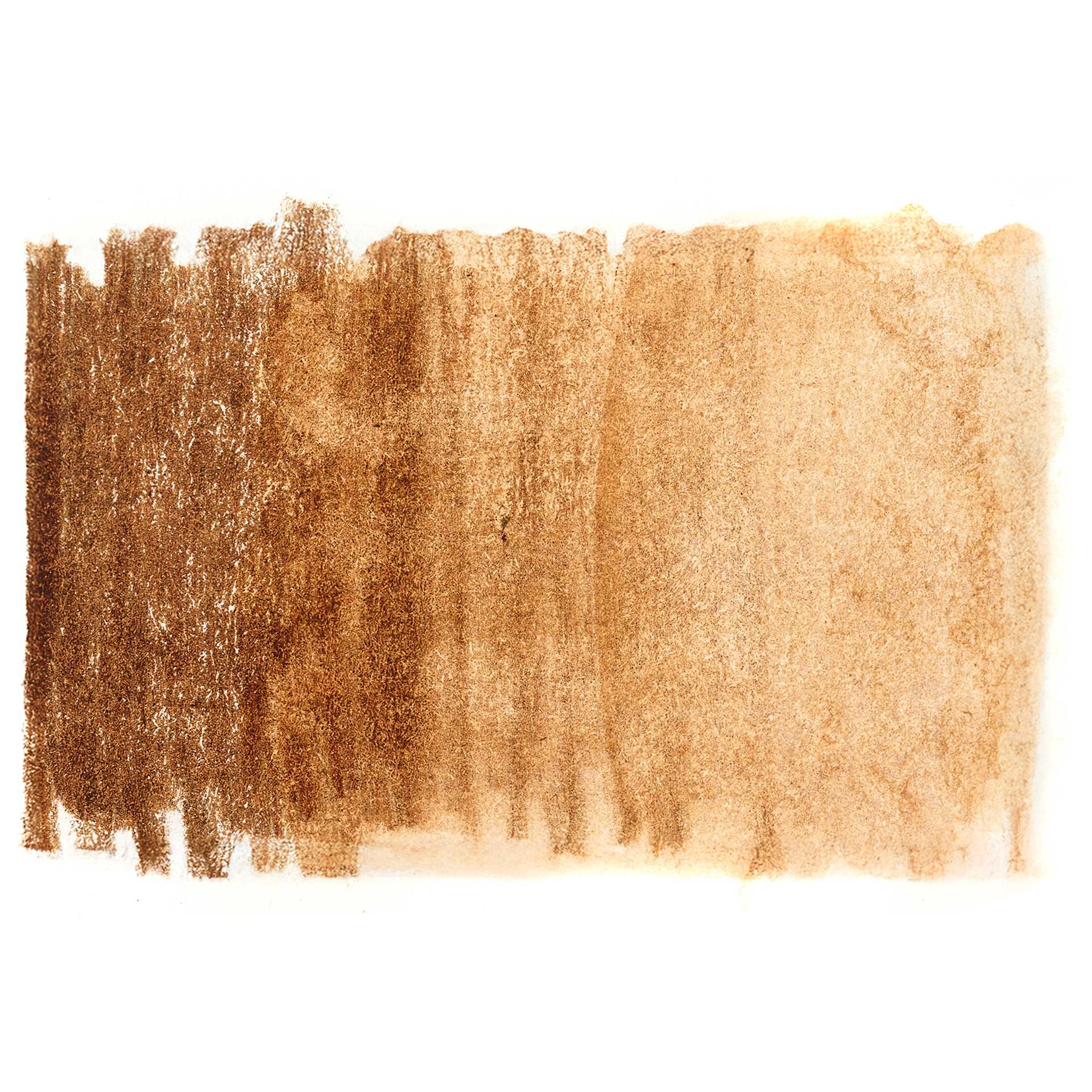 Derwent Chromaqua Watercolor Pencil - Willow swatch