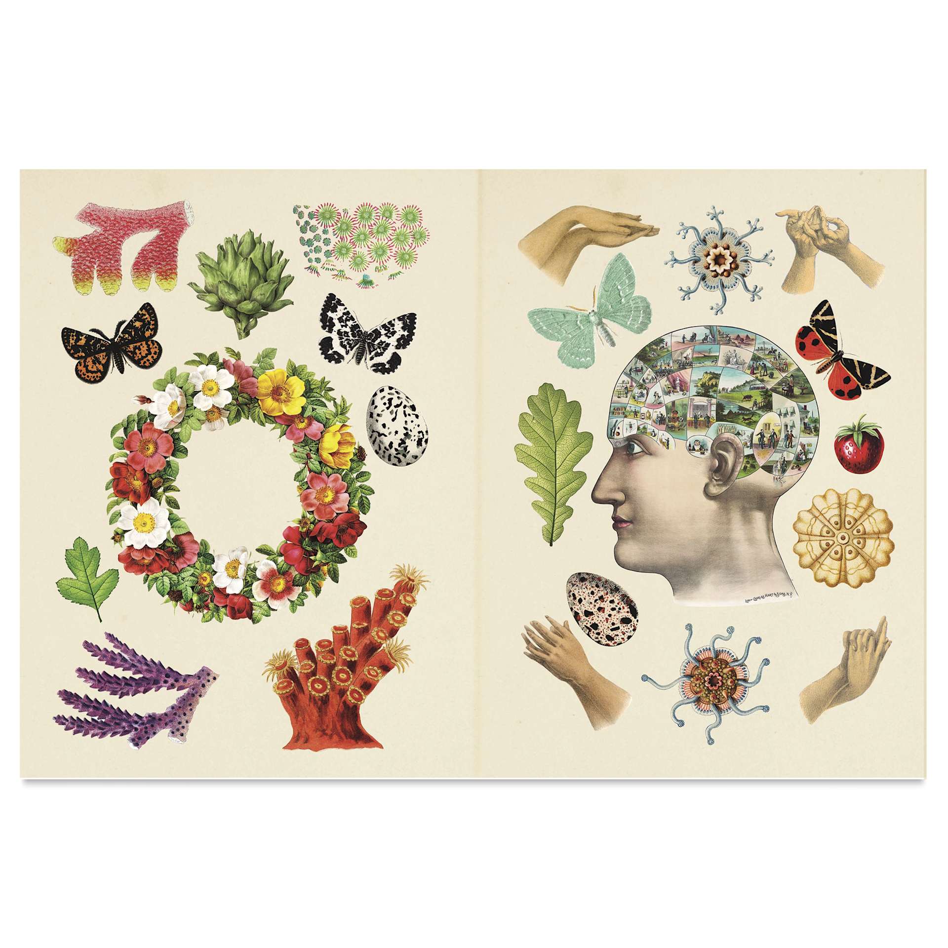 The Antiquarian Sticker Book, open