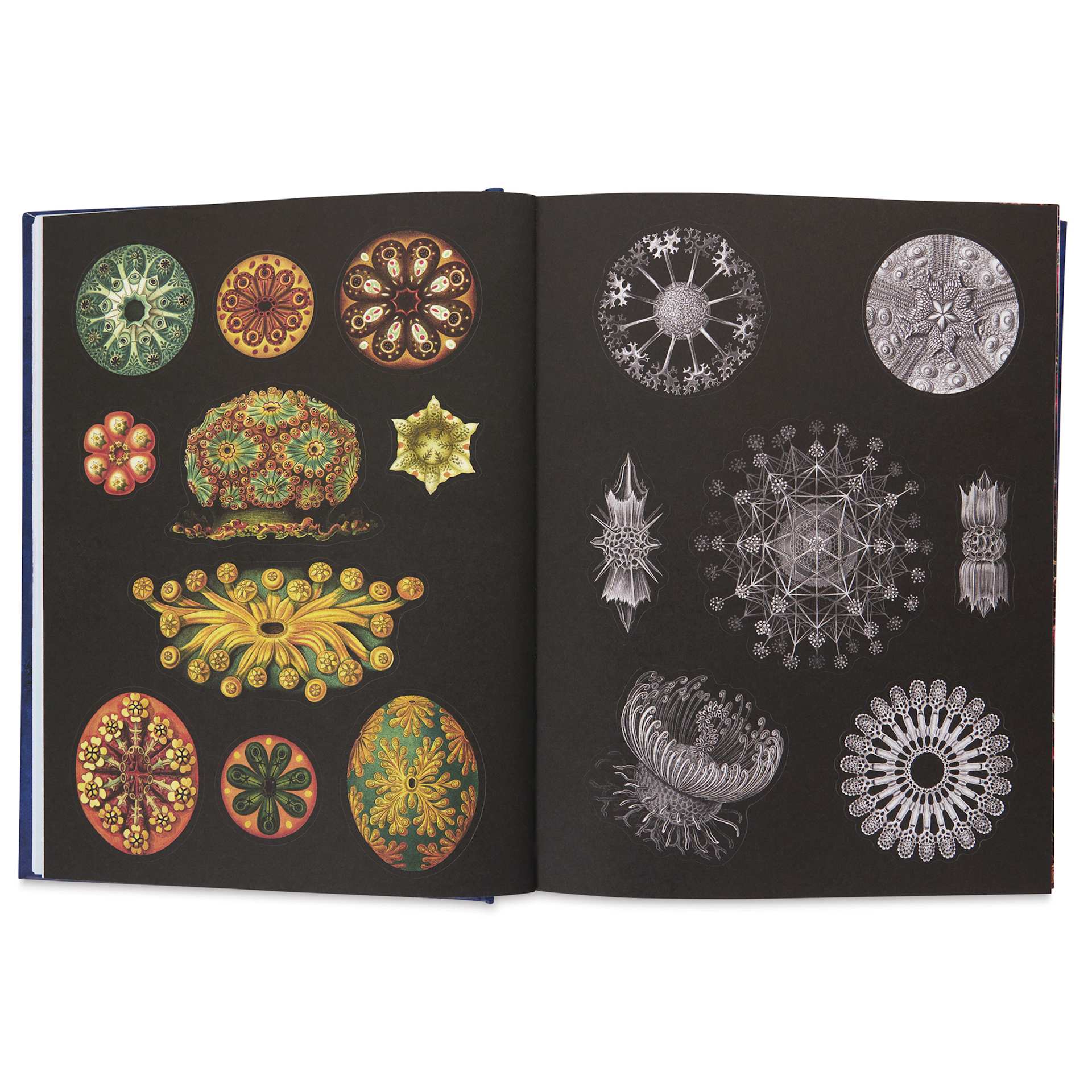 The Antiquarian Sticker Book, symmetric stickers
