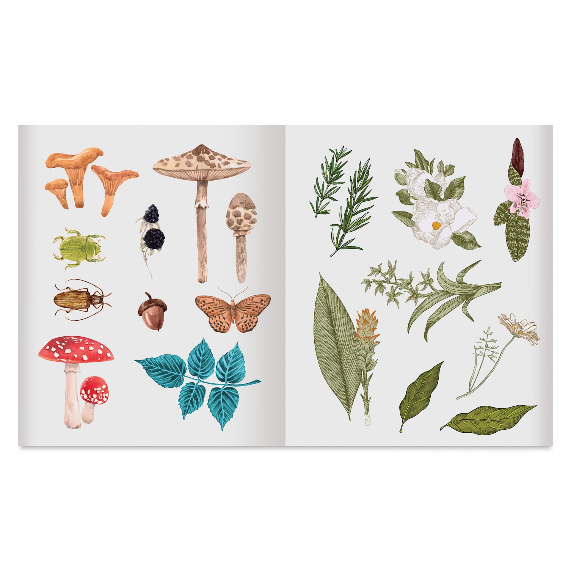 Sticker Studio Apothecary Sticker Book, fungi and plants