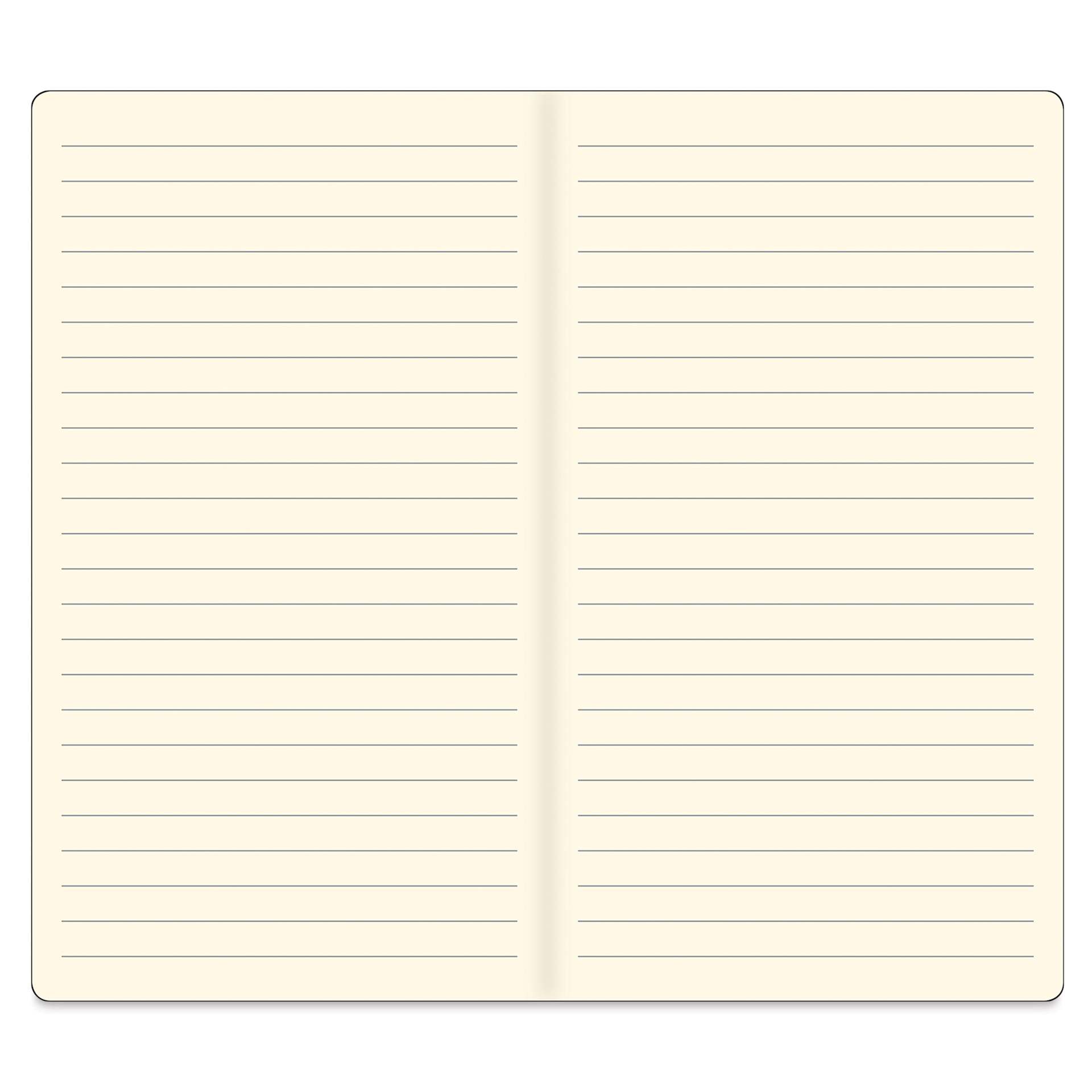 Peter Pauper Press Voyager Notebook - 4.75" x 7.9", Light Blue, ruled