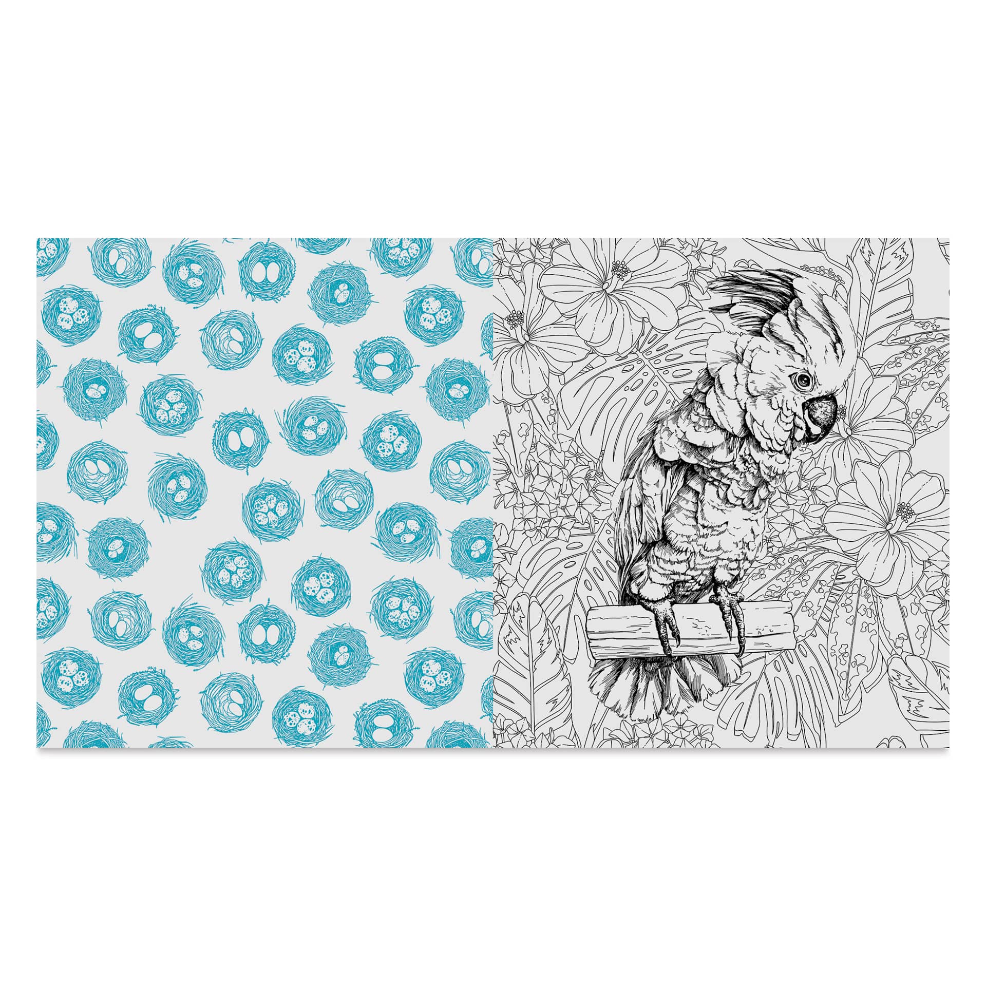 Beautiful Birds Coloring Book, open