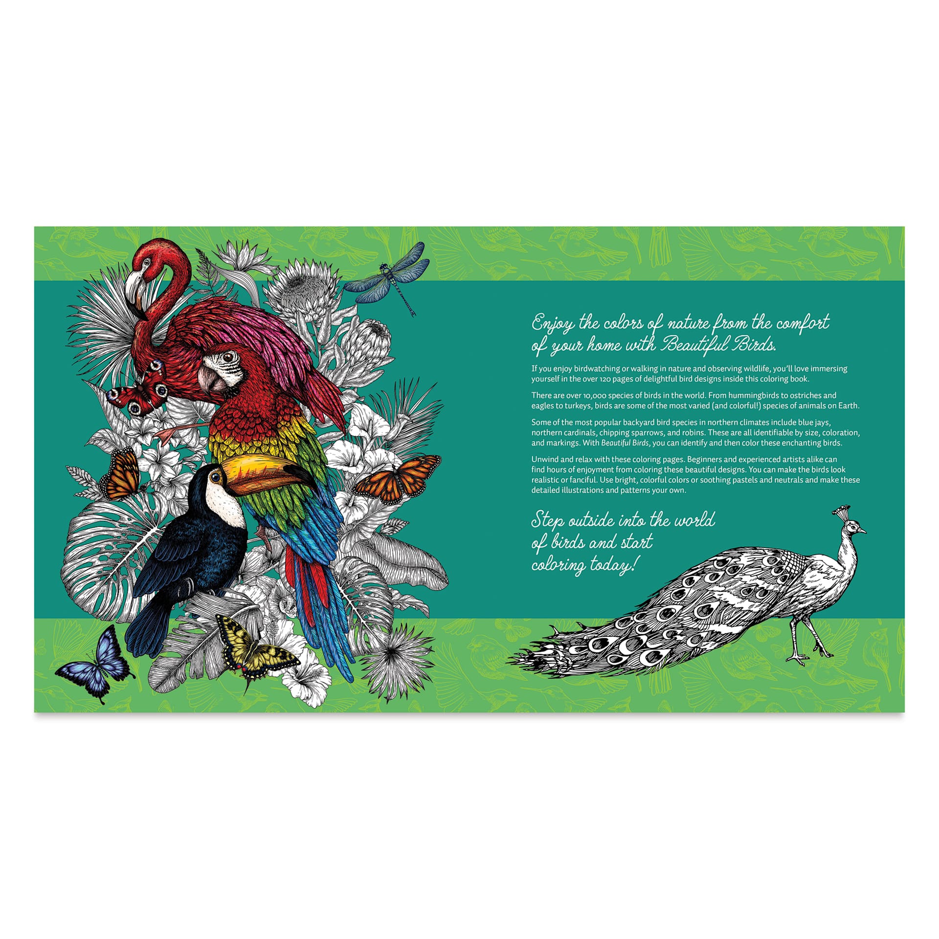 Beautiful Birds Coloring Book, inside cover