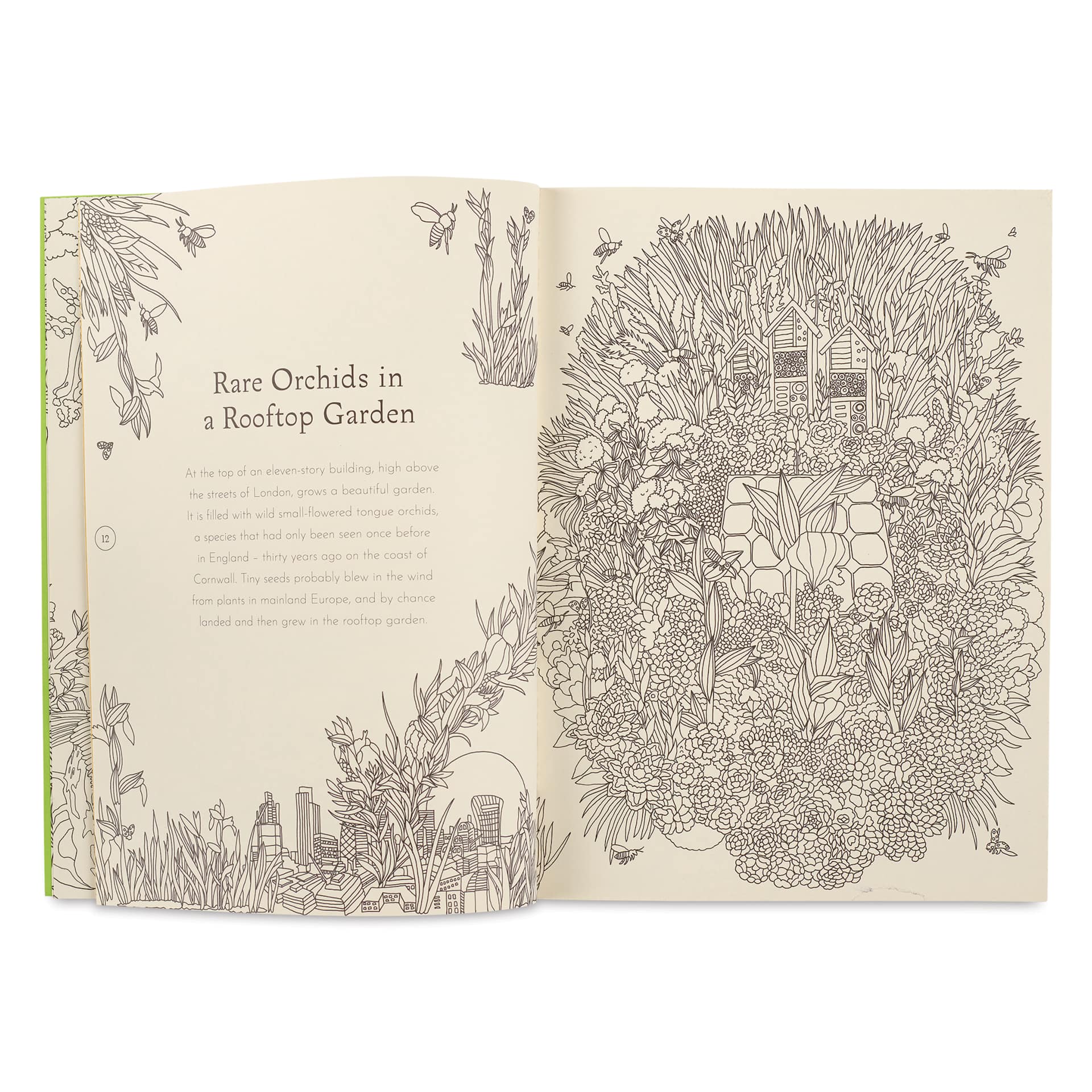 Return of the Wild Coloring Book, Rooftop Garden