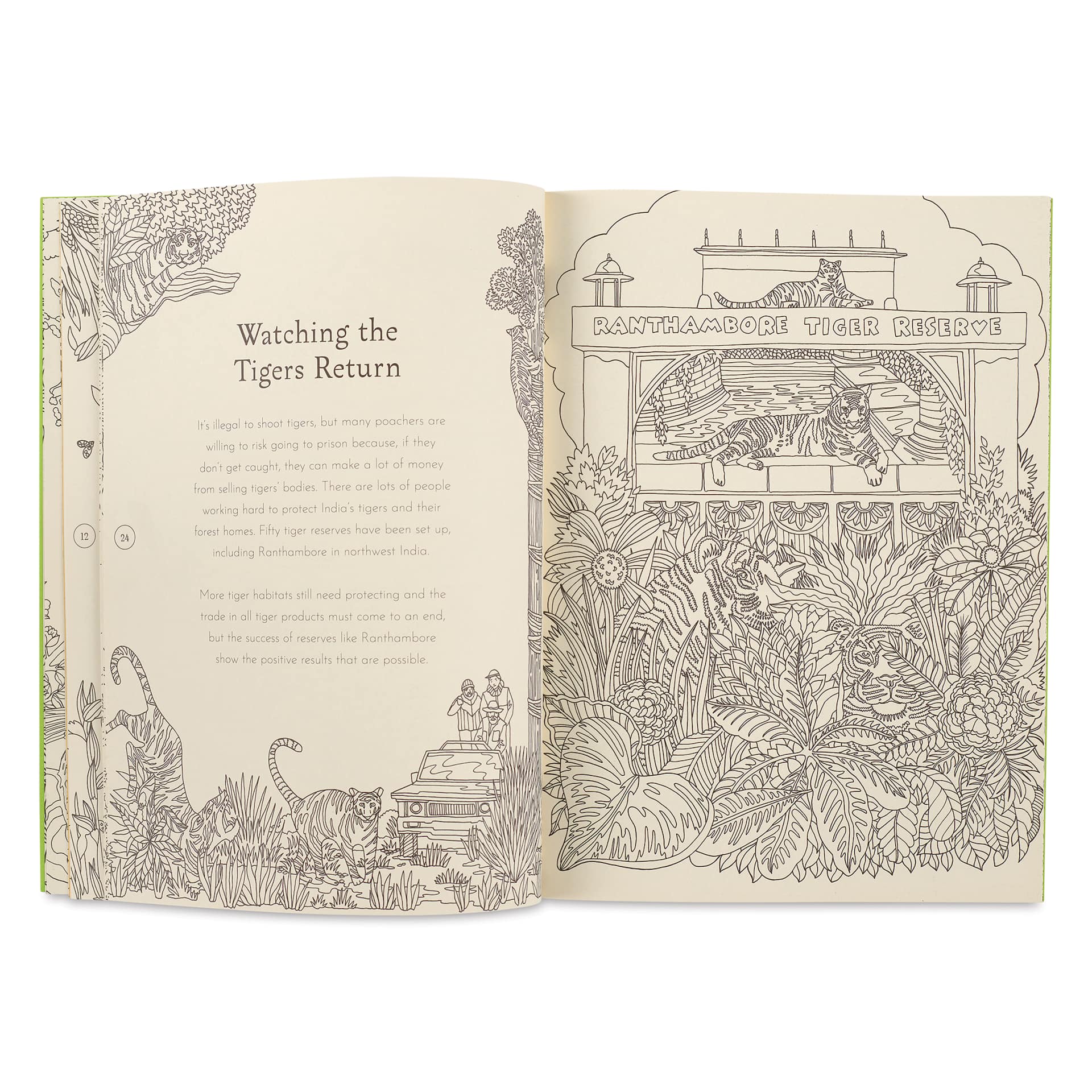 Return of the Wild Coloring Book, "Watching the Tiger's Return"