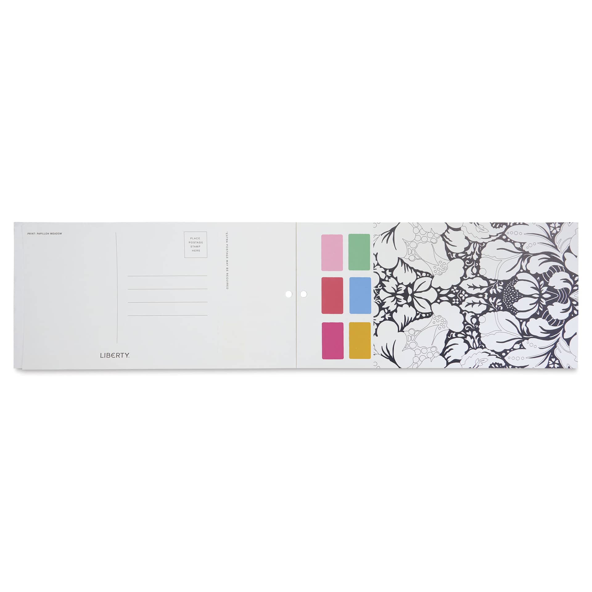 Galison Paint-In Card Set - Liberty, open