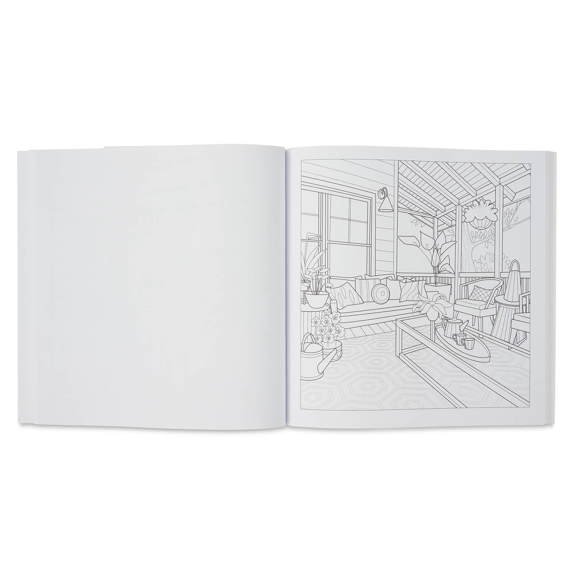 Modern Farmhouse: An Interior Design Coloring Book (illustration page example - sunroom)