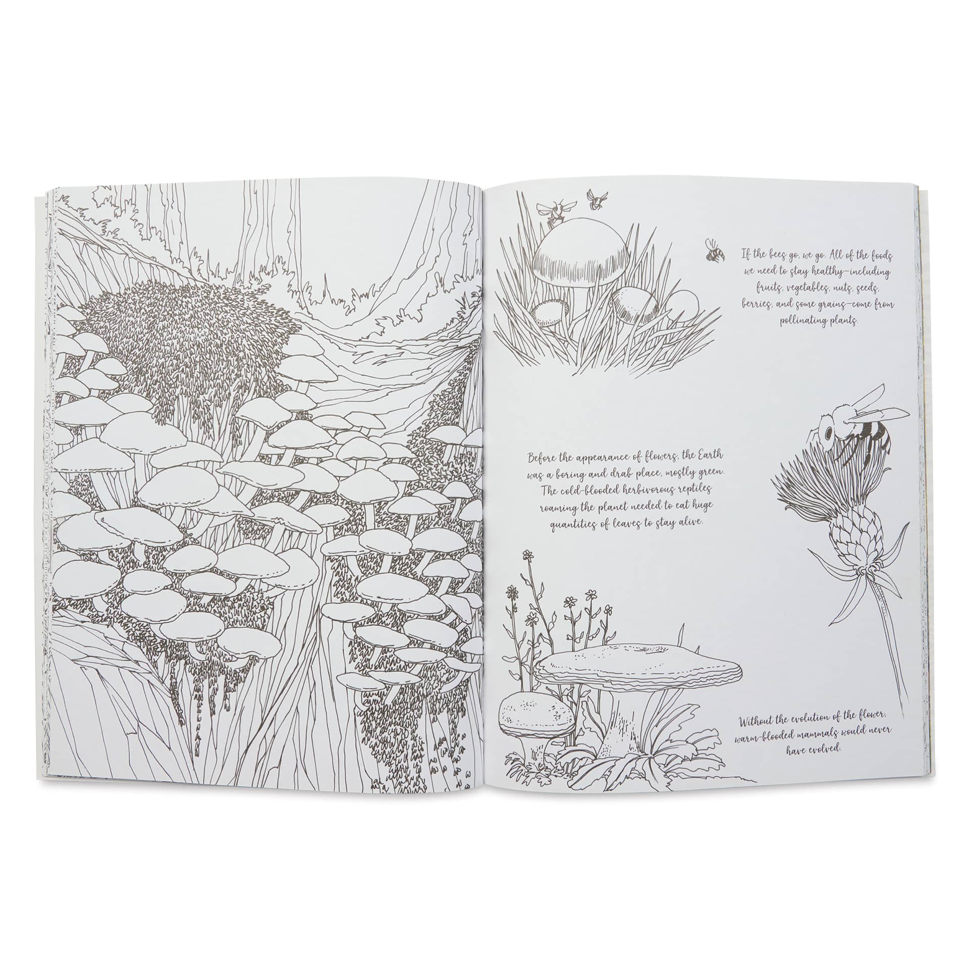 Fantastic Fungi: The Coloring Book, appearance of flowers and polination