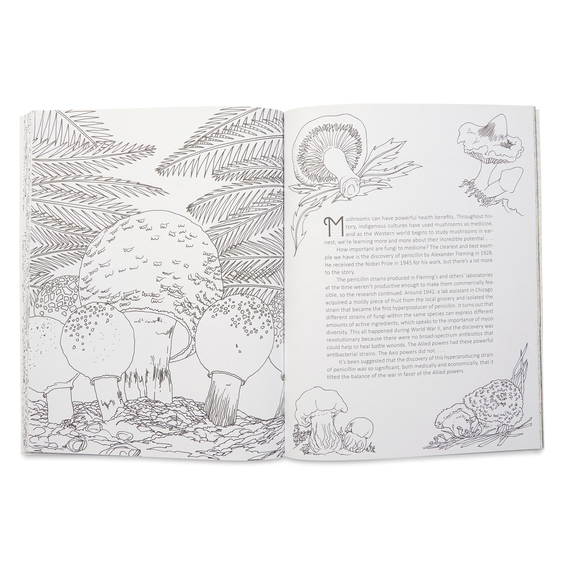 Fantastic Fungi: The Coloring Book, mushrooms and health benefits