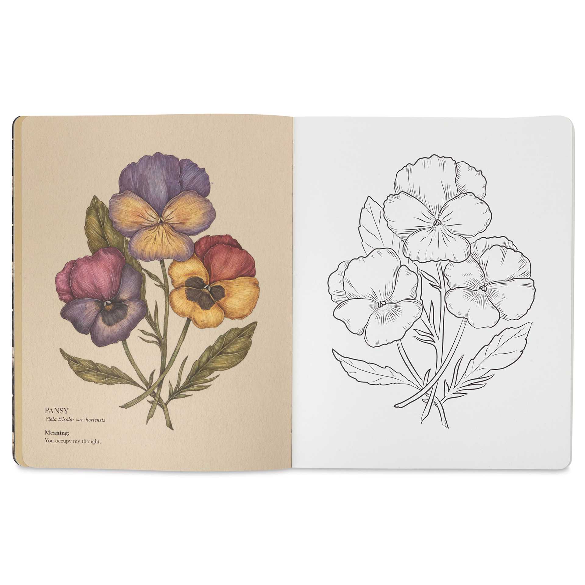 Floriography Coloring Book - Paperback, 96 Pages, open
